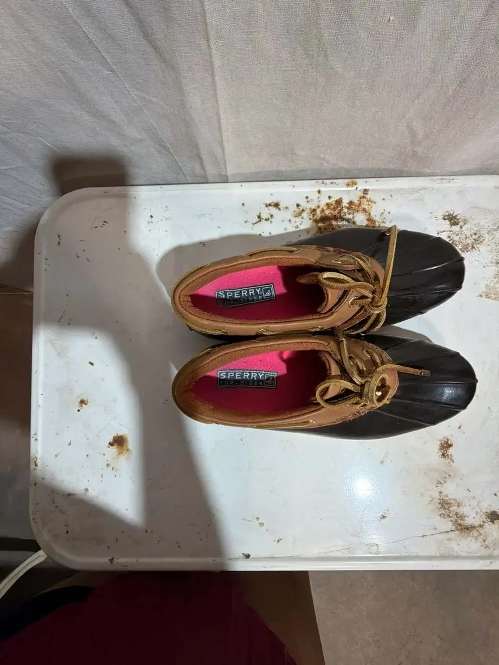 Sperry saltwater eye